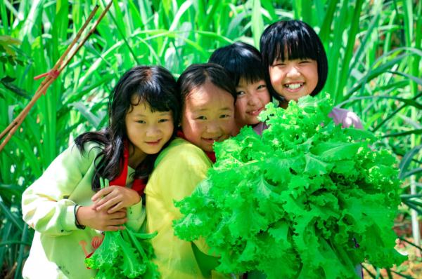 在这所云南村小，上千师生三餐吃的都是自己种的