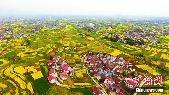 “赏花经济”催中国内地旅游市场加速“回春”