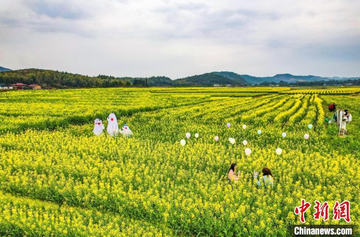 乡约福建：荒地变良田致富新活力