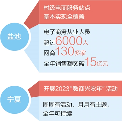 数字赋能激发产业活力 人才涌现带动乡村振兴